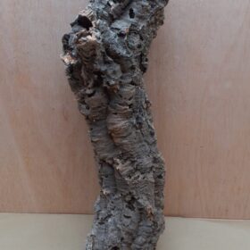 Medium Cork Tube - 40-60cm - 10