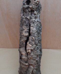 Medium Cork Tube - 40-60cm - 12
