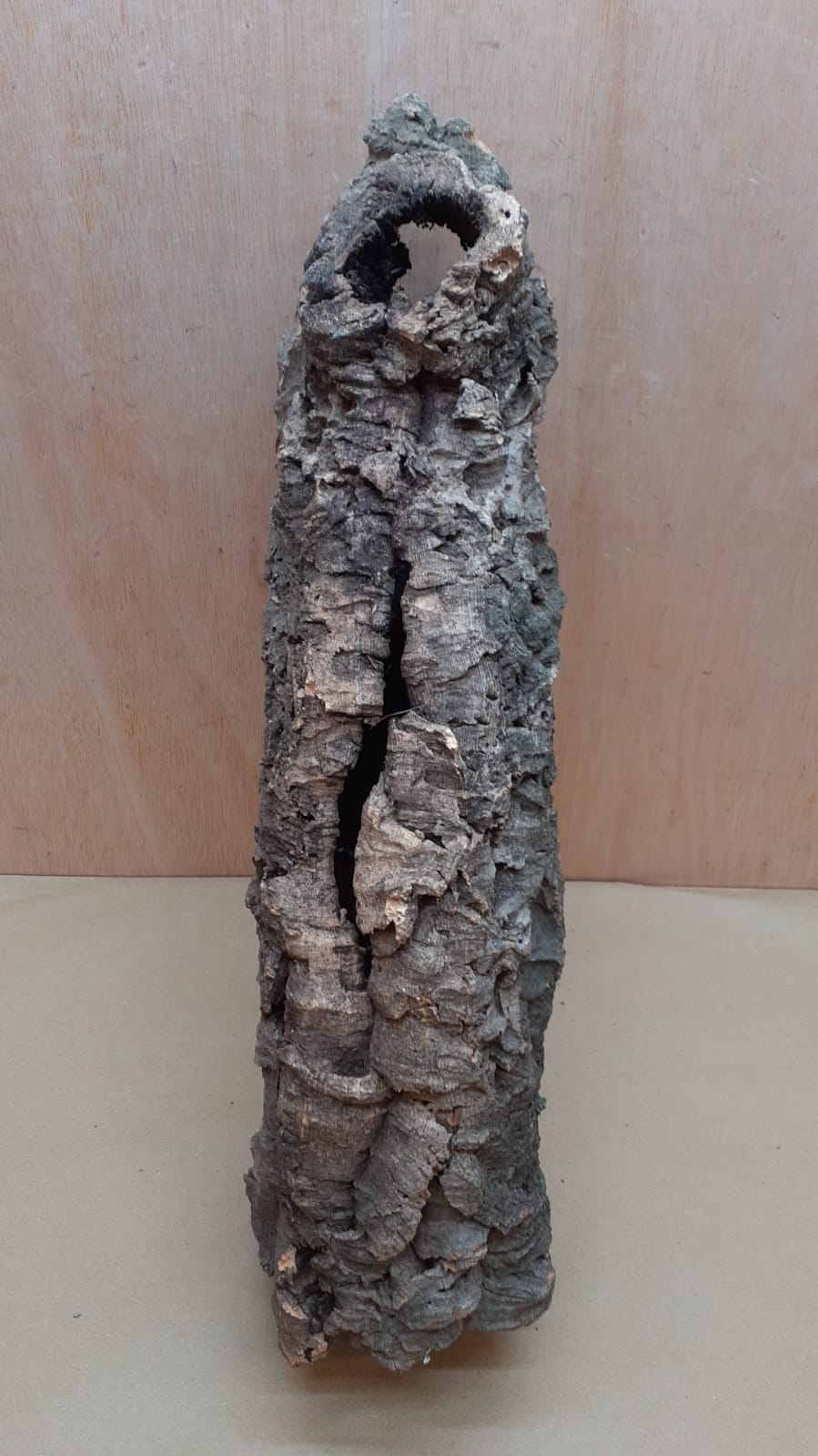 Medium Cork Tube - 40-60cm - 12