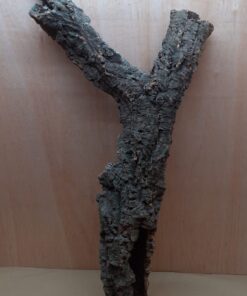 Medium Cork Tube - 80-110cm - 1