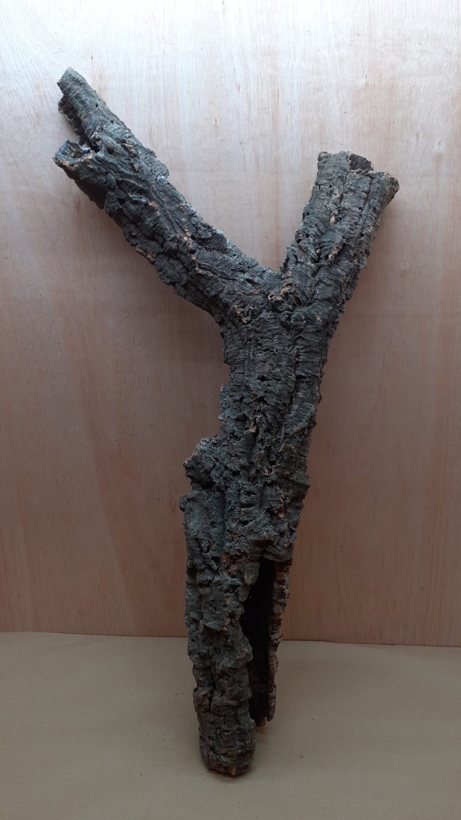 Medium Cork Tube - 80-110cm - 1