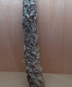 Medium Cork Tube - 80-110cm - 9