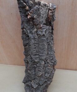 Small Cork Tube - Upto 40cm - 1