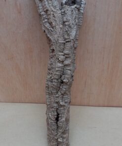 Small Cork Tube - Upto 40cm - 9
