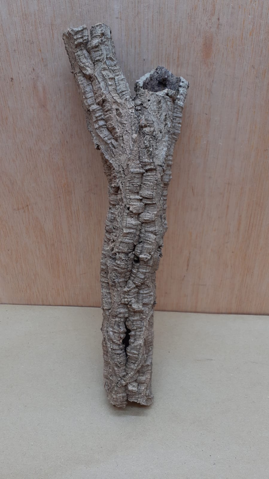 Small Cork Tube - Upto 40cm - 9