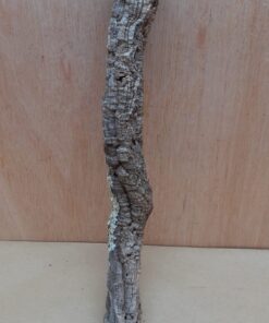 Small Cork Tube - Upto 40cm - 18