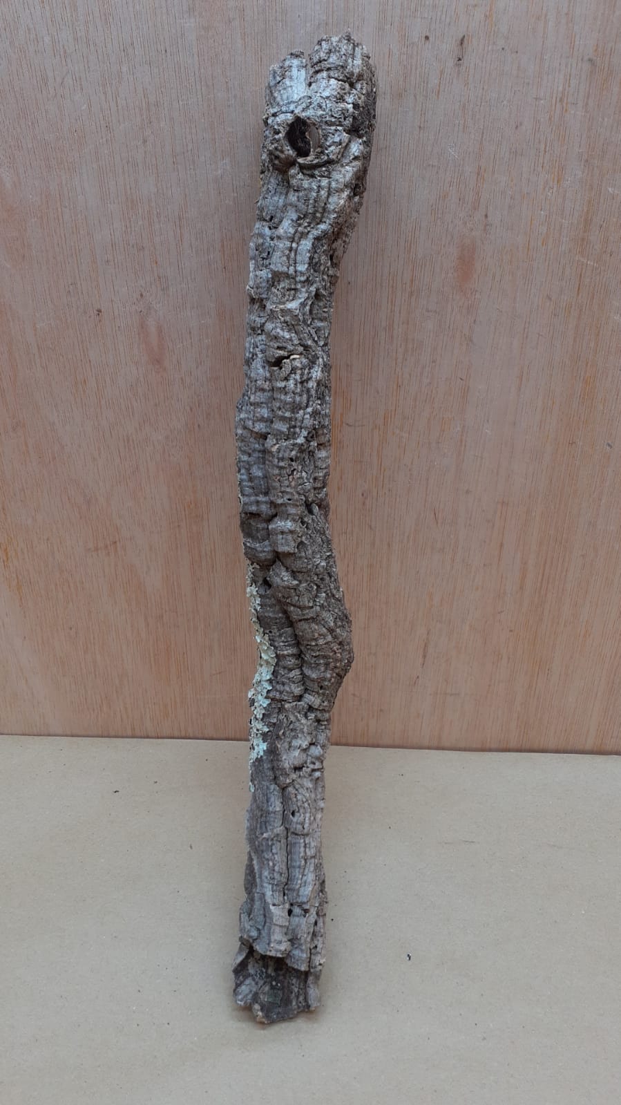 Small Cork Tube - Upto 40cm - 18