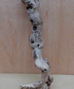Sandblasted Grapevine - Small 5