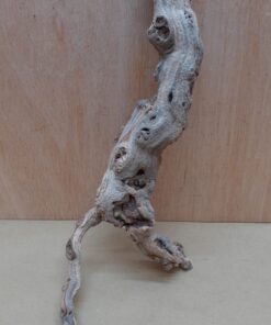 Sandblasted Grapevine - Small 7