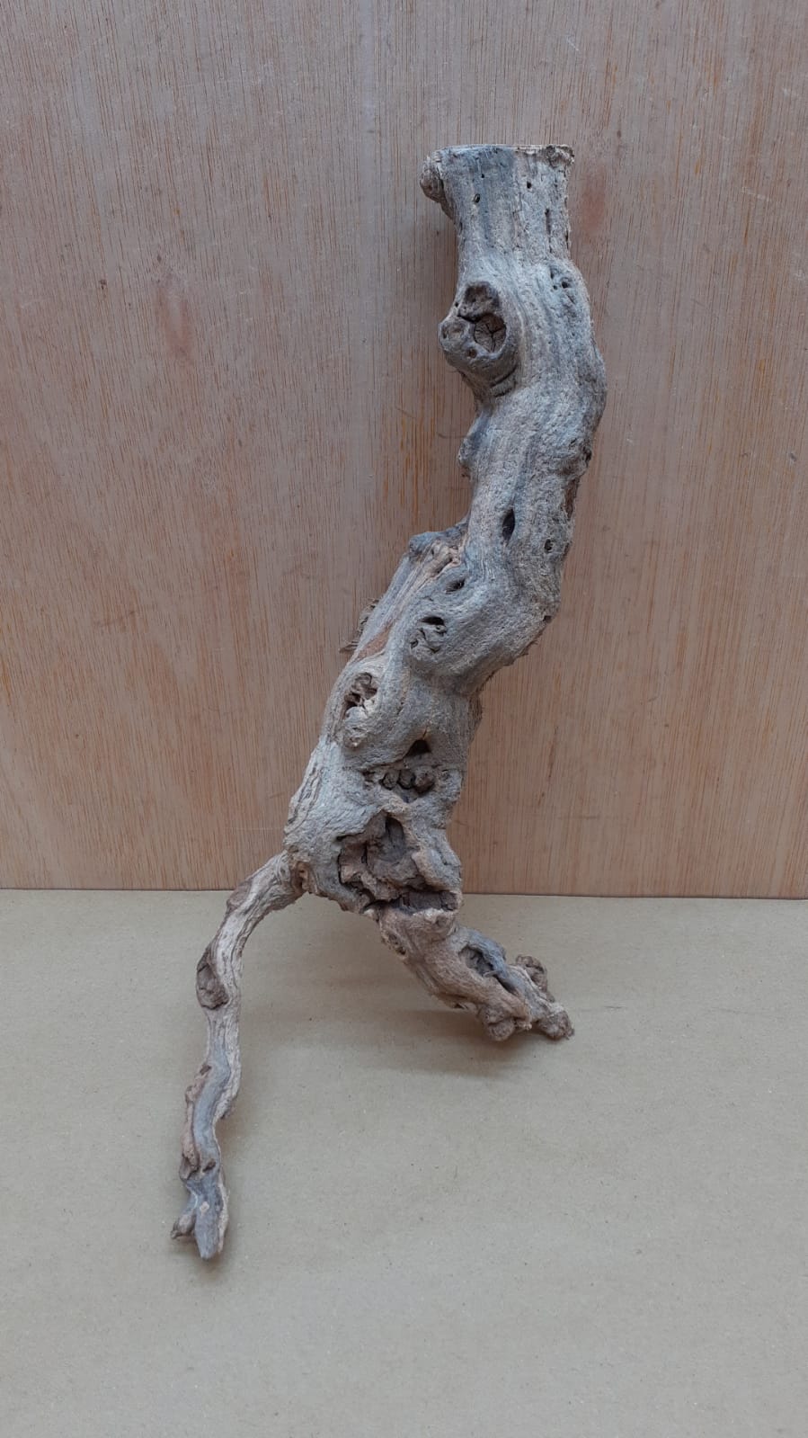 Sandblasted Grapevine - Small 7