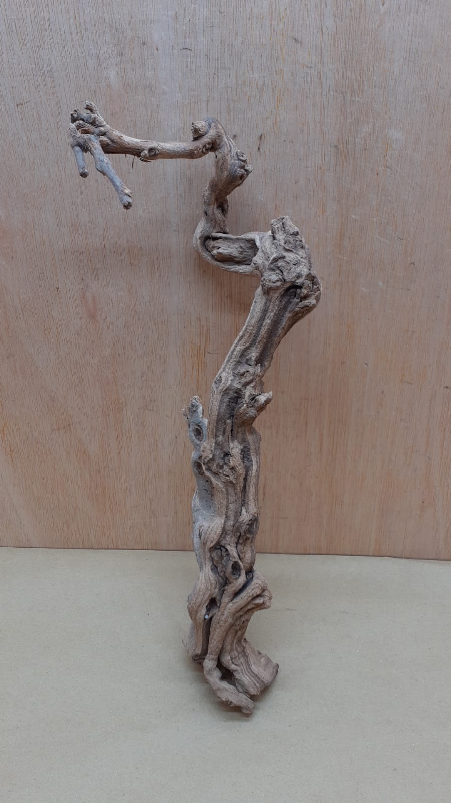 Sandblasted Grapevine - Small 8