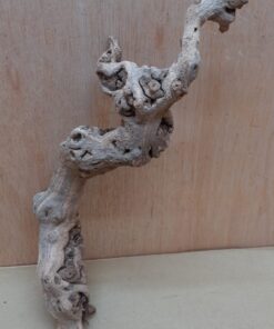 Sandblasted Grapevine - Small 10