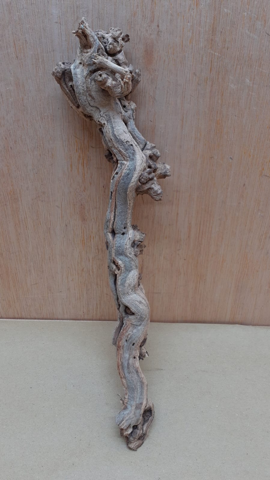 Sandblasted Grapevine - Small 11