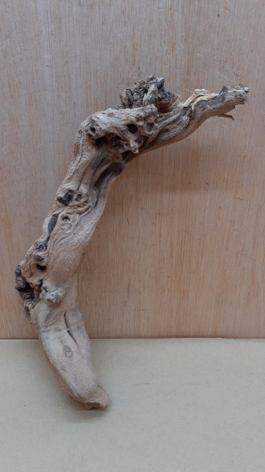Sandblasted Grapevine - Small 12