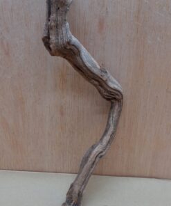 Sandblasted Grapevine - Small 13