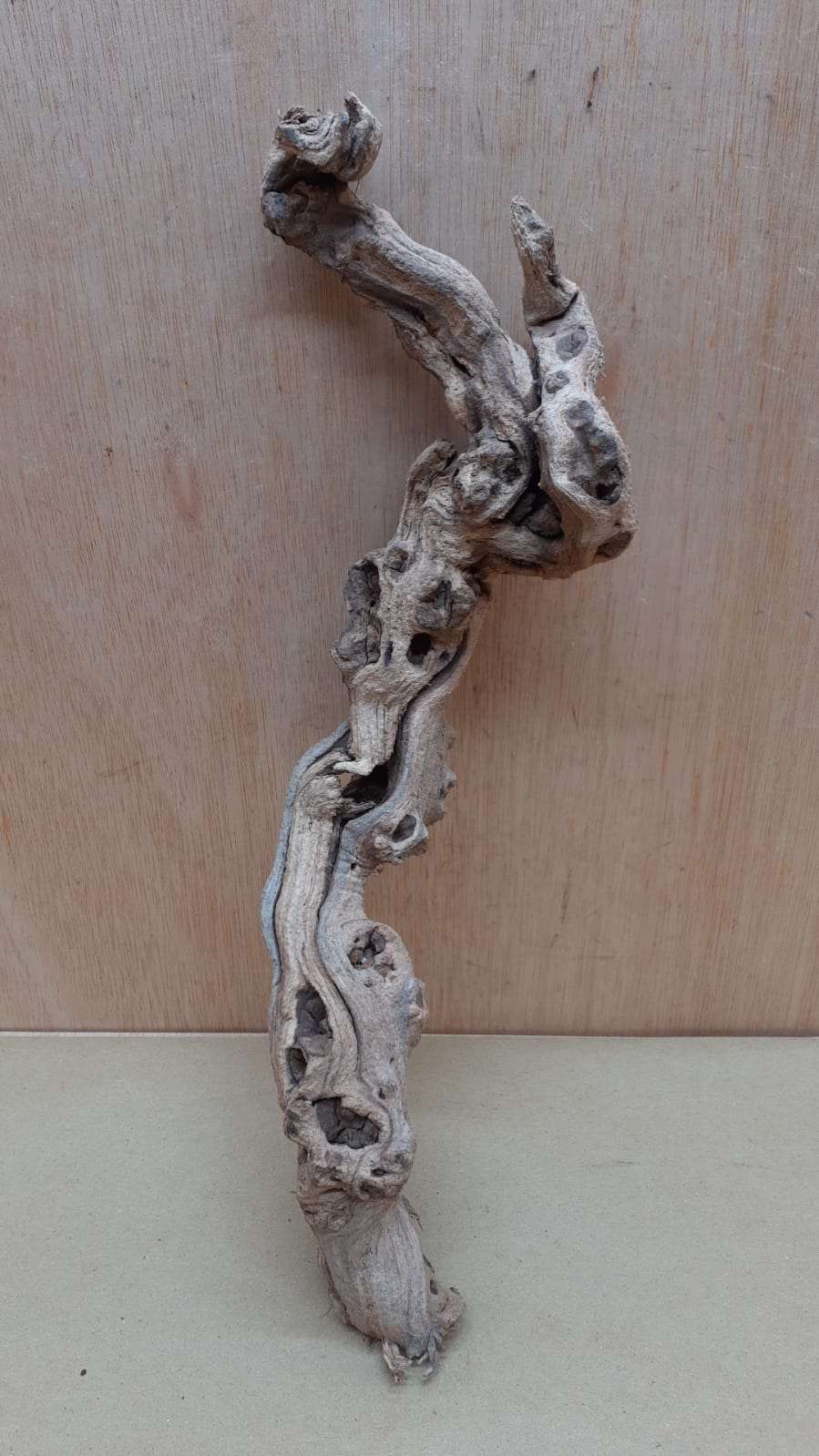 Sandblasted Grapevine - Small 14