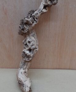 Sandblasted Grapevine - Small 16