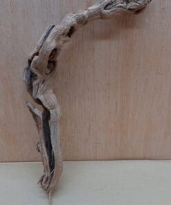 Sandblasted Grapevine - Small 17
