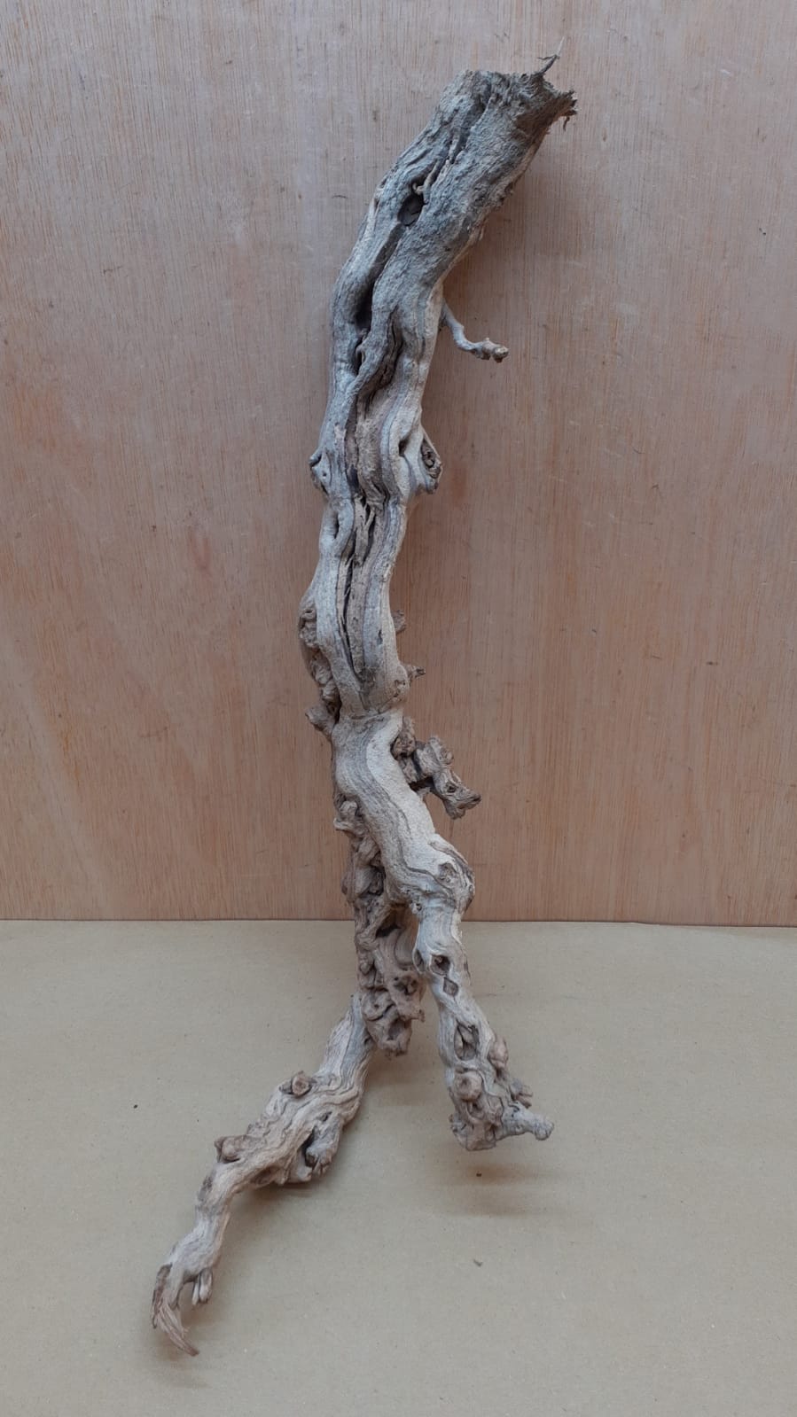 Sandblasted Grapevine - Medium 9