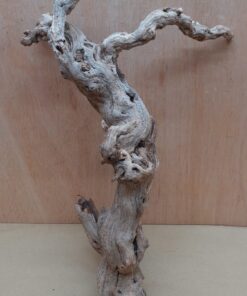 Sandblasted Grapevine - Medium 10