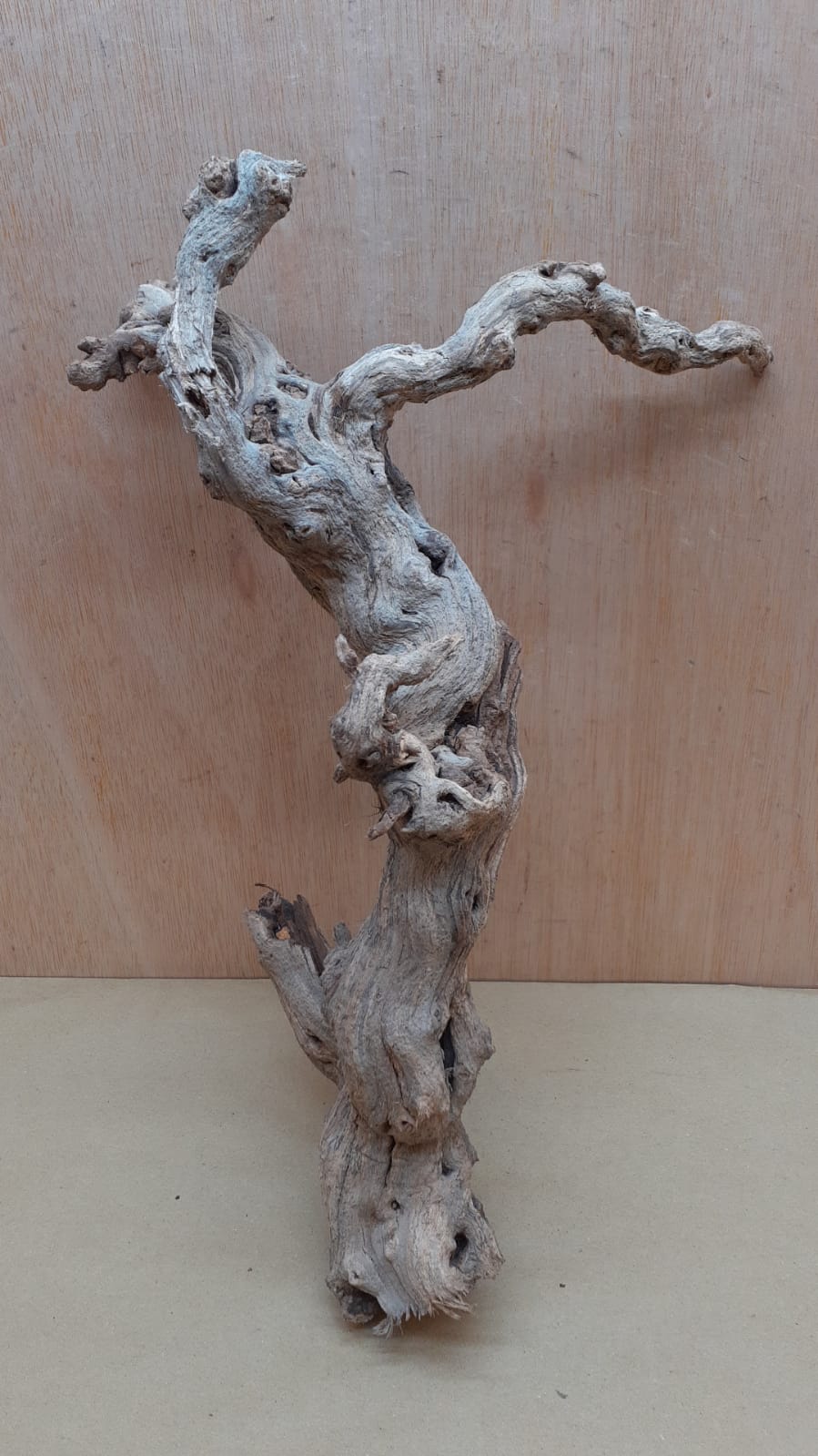 Sandblasted Grapevine - Medium 10