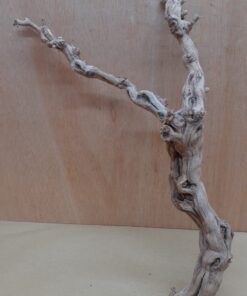 Sandblasted Grapevine - Medium 11
