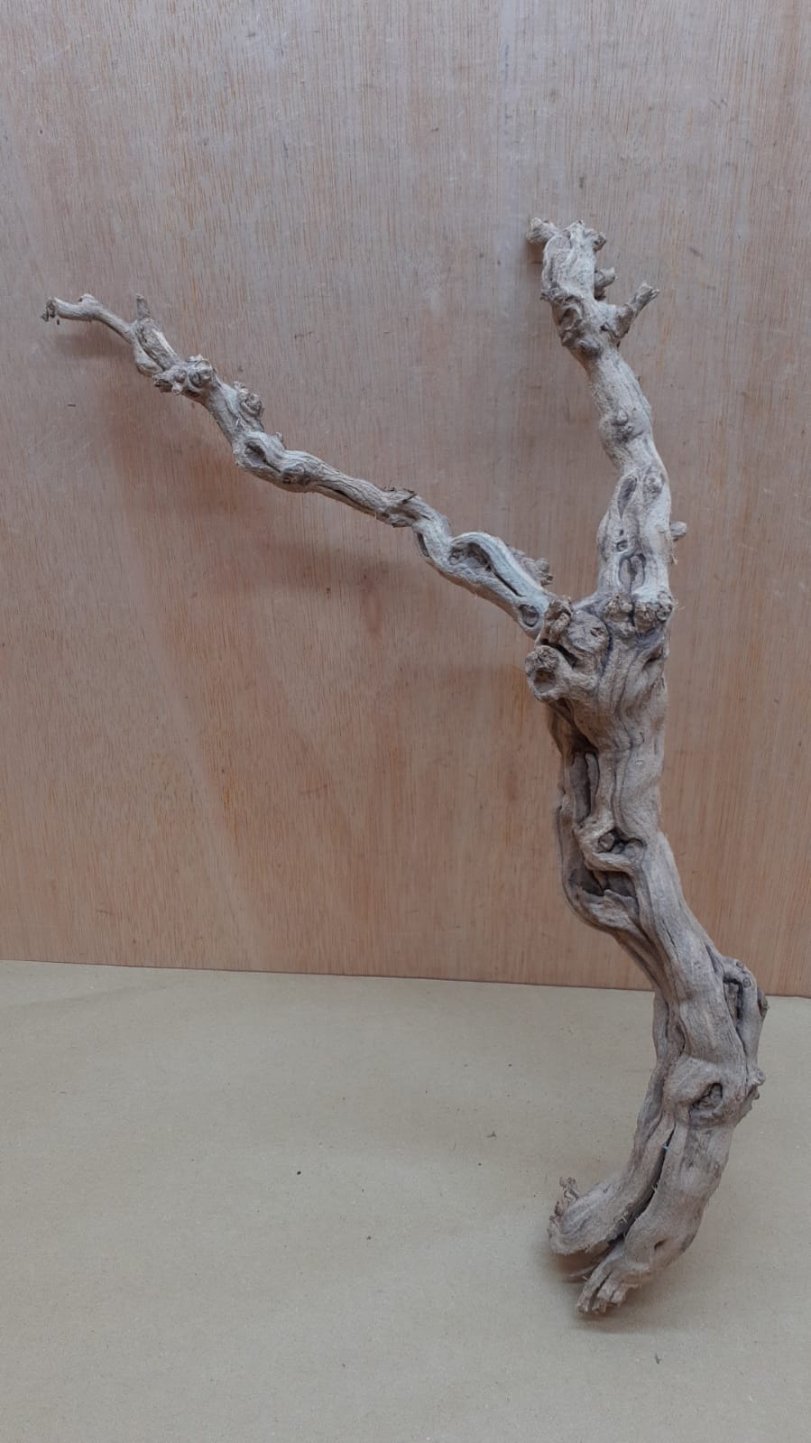 Sandblasted Grapevine - Medium 11