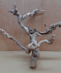 Sandblasted Grapevine - Medium 12