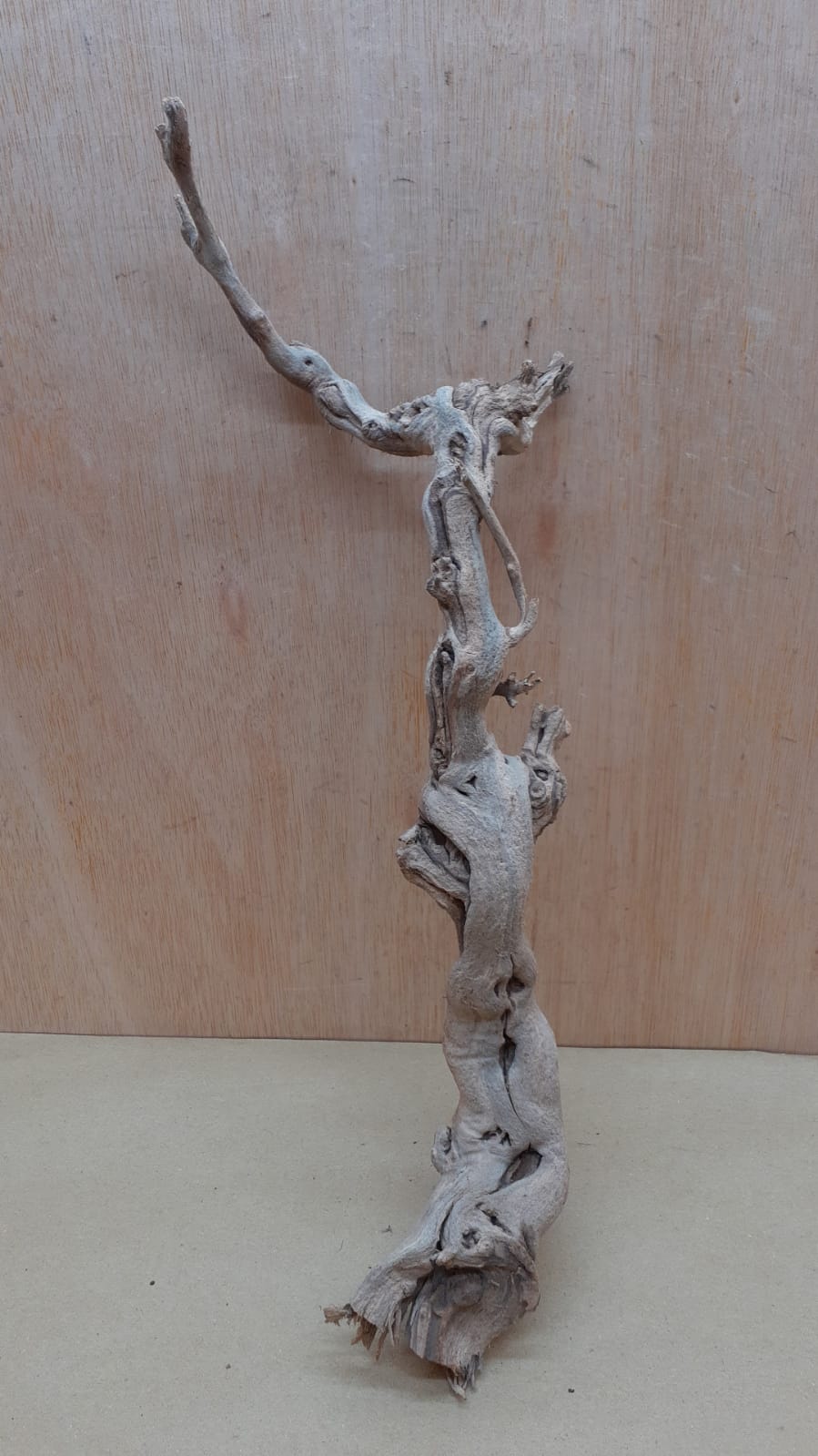 Sandblasted Grapevine - Medium 13