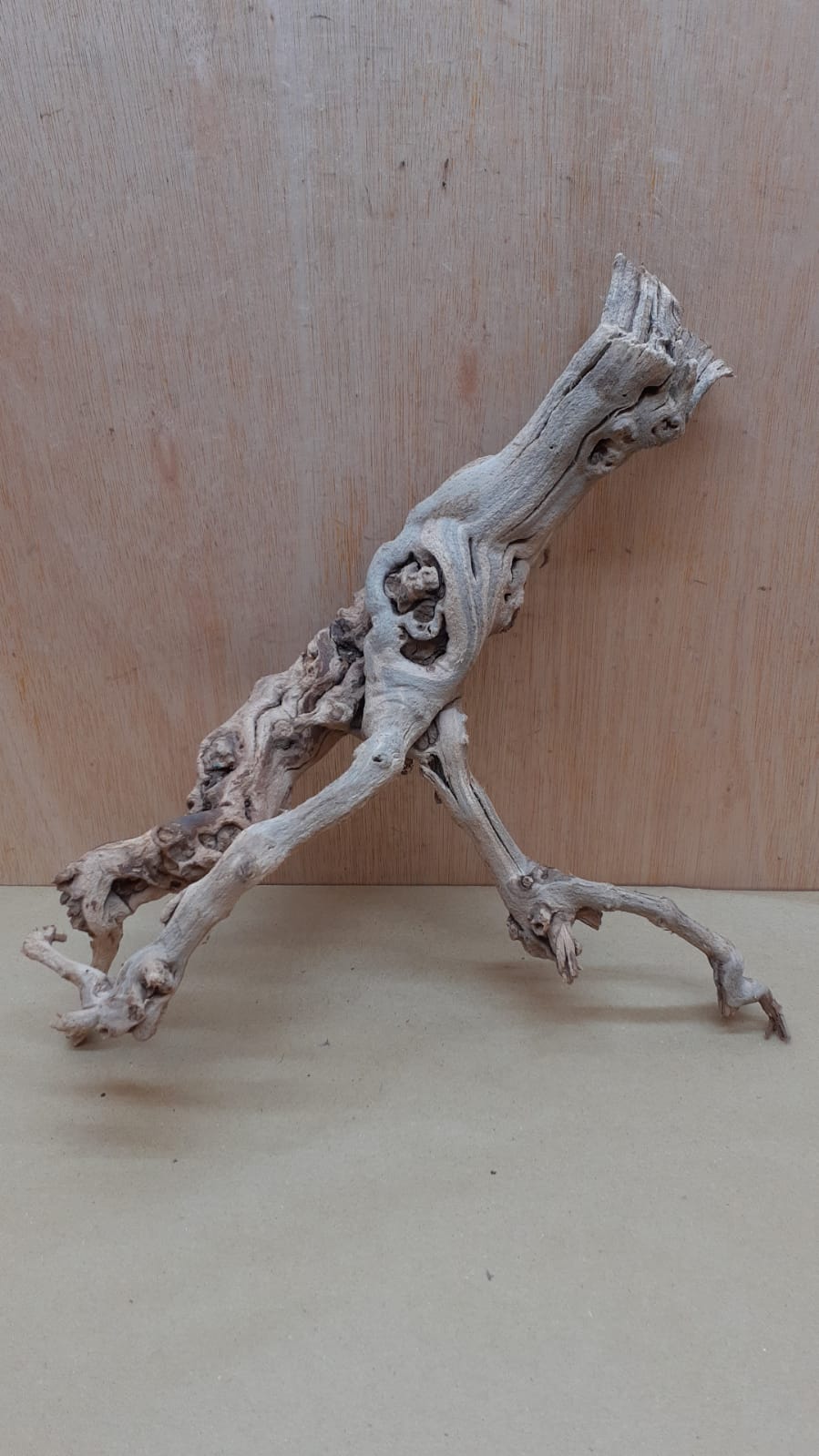 Sandblasted Grapevine - Medium 15