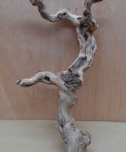 Sandblasted Grapevine - Medium 16