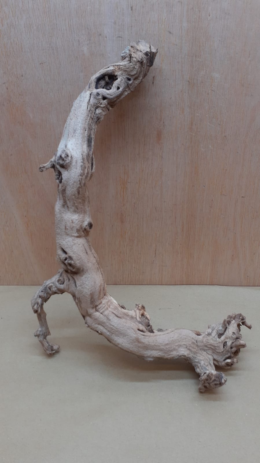 Sandblasted Grapevine - Medium 19