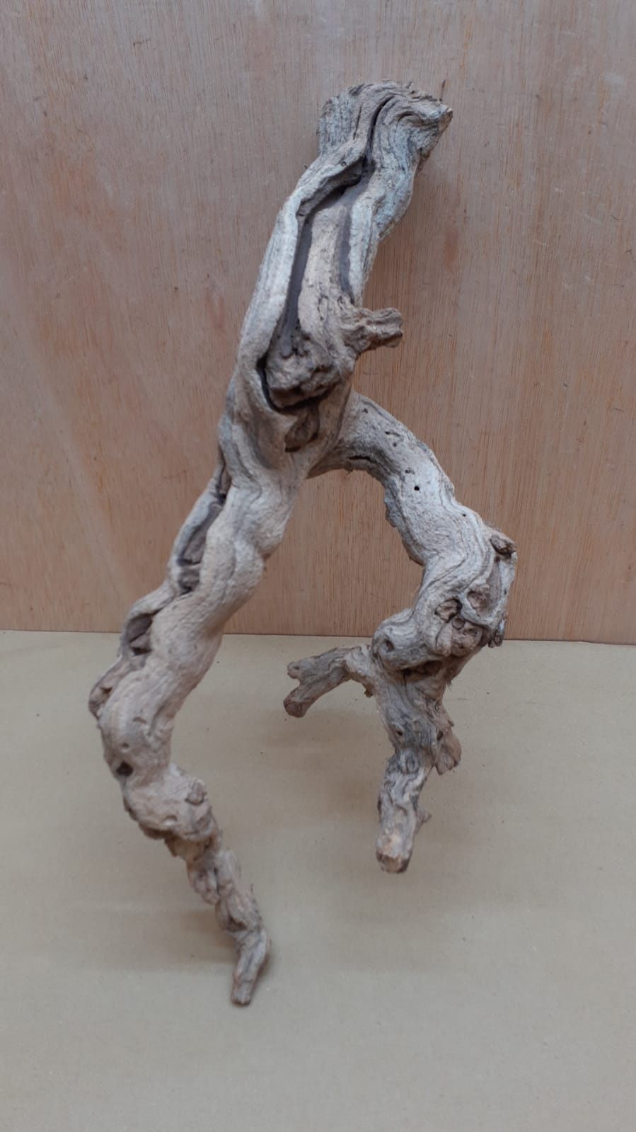 Sandblasted Grapevine - Medium 20
