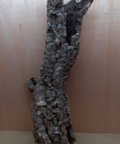 Large Cork Tube - 80-110cm - 7