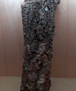 Large Cork Tube - 80-110cm - 8