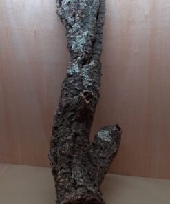 Large Cork Tube - 80-110cm - 9
