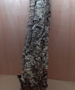 Large Cork Tube - 80-110cm - 10