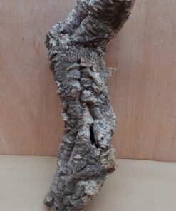 Small Cork Tube - Upto 40cm - 4