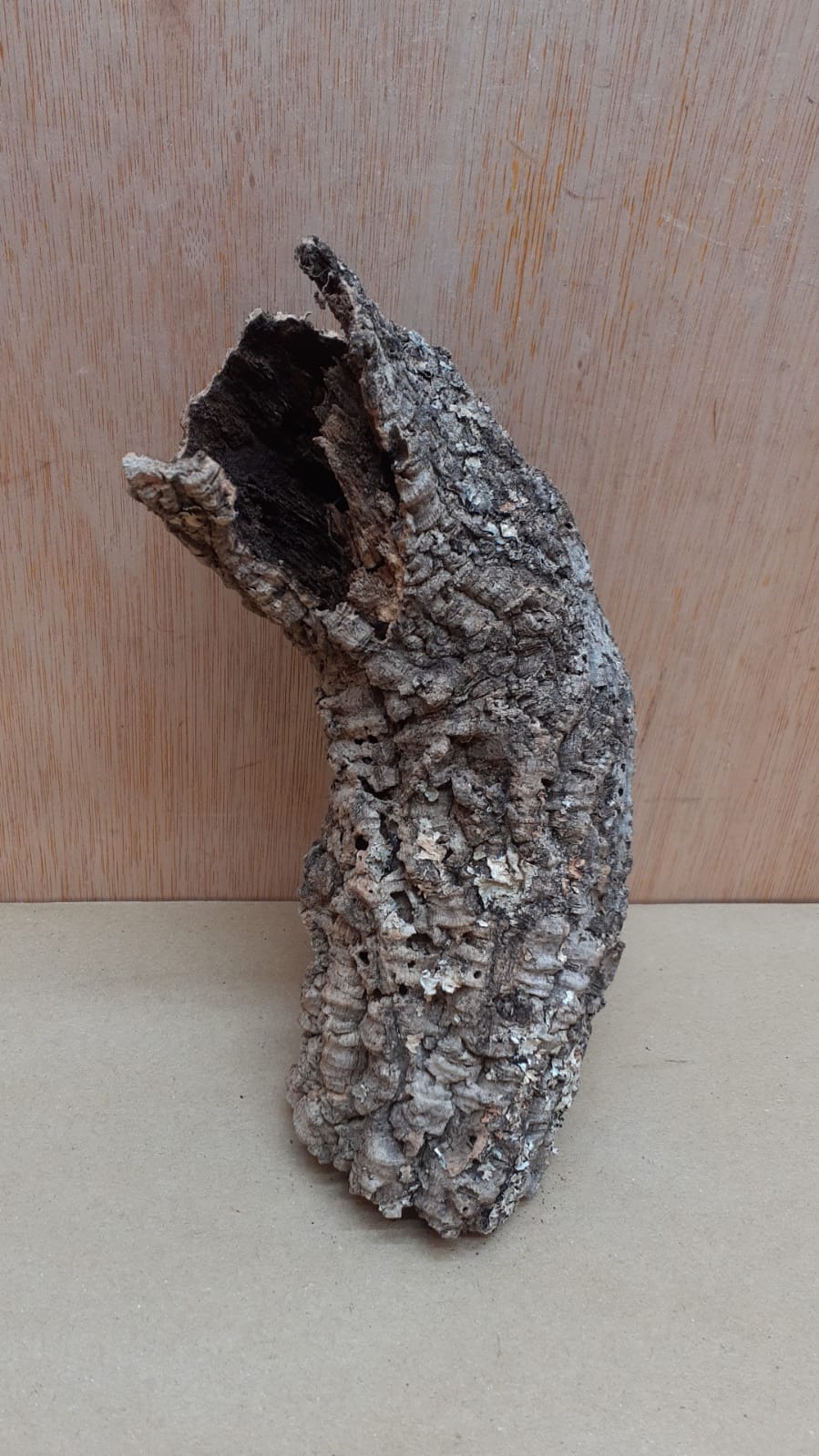 Small Cork Tube - Upto 40cm - 5
