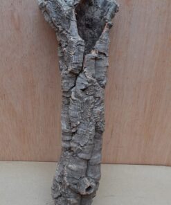 Small Cork Tube - Upto 40cm - 10