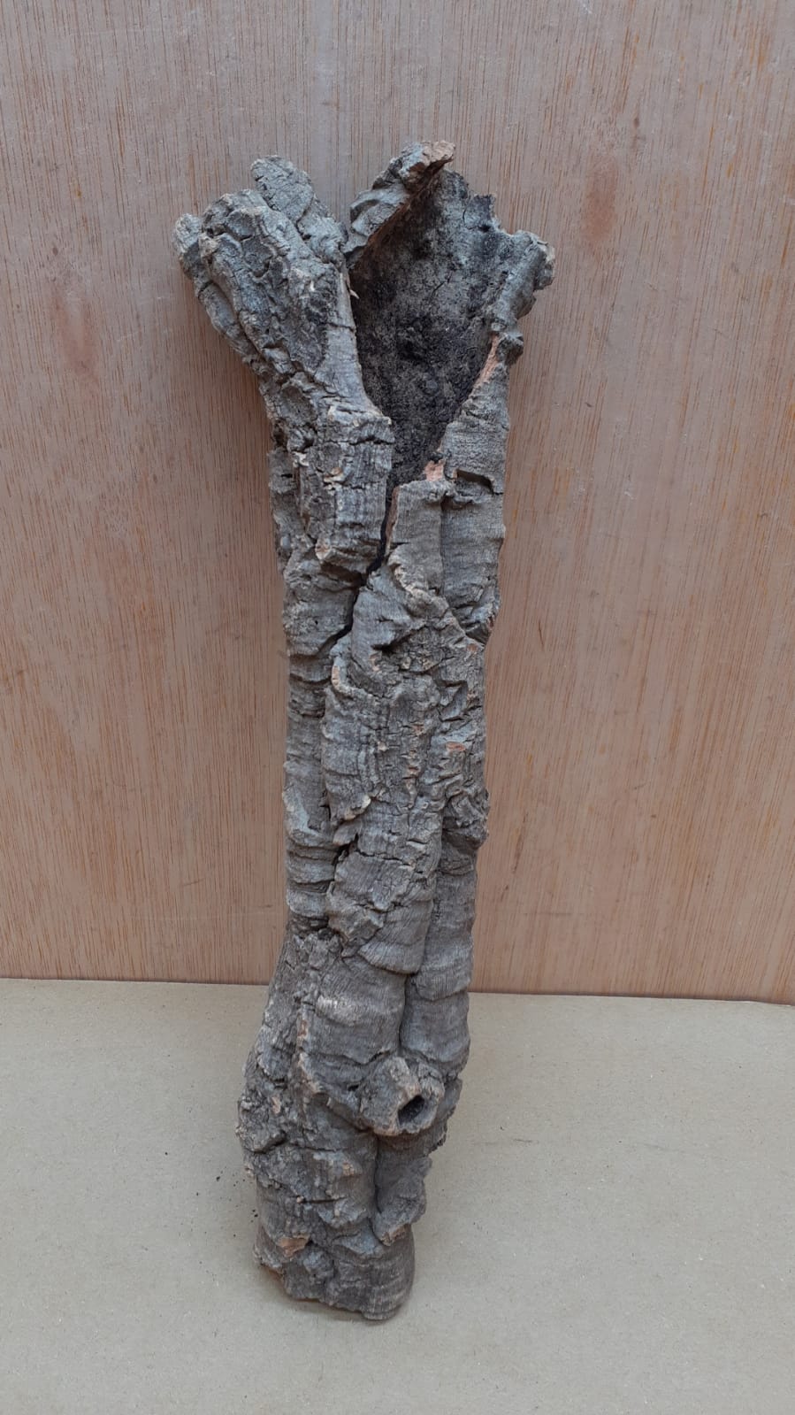 Small Cork Tube - Upto 40cm - 10
