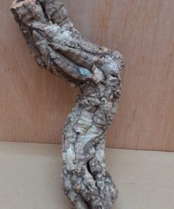 Small Cork Tube - Upto 40cm - 14
