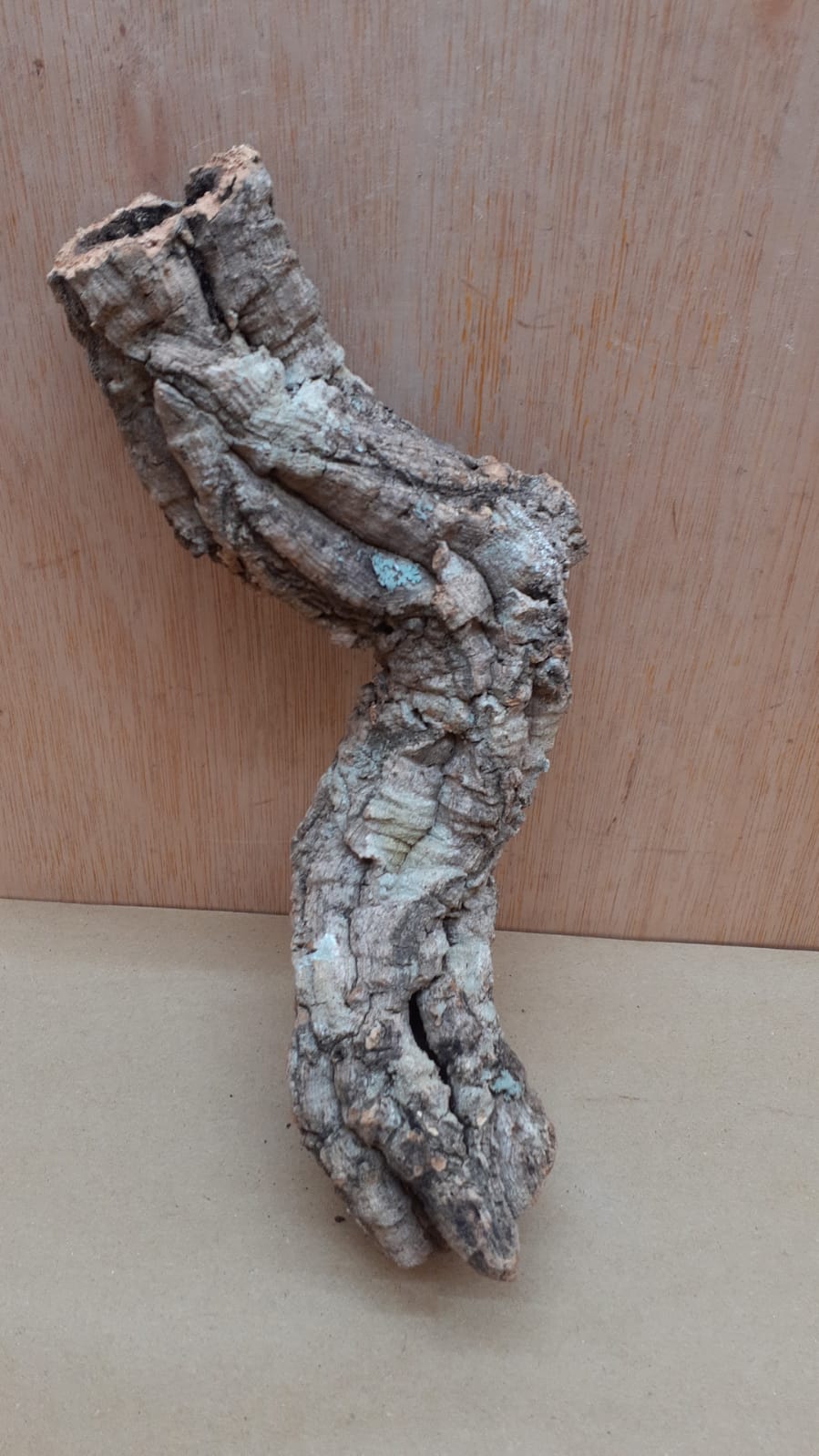 Small Cork Tube - Upto 40cm - 14