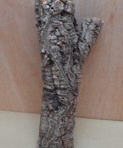 Small Cork Tube - Upto 40cm - 15