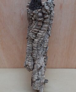Small Cork Tube - Upto 40cm - 16
