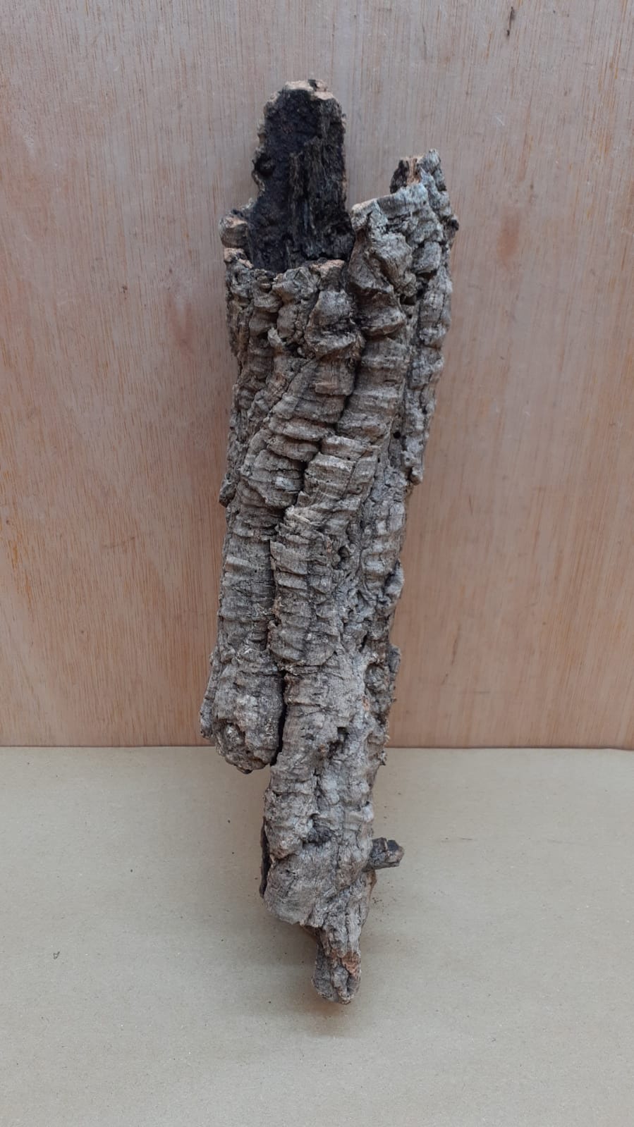 Small Cork Tube - Upto 40cm - 16