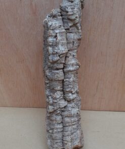 Small Cork Tube - Upto 40cm - 19