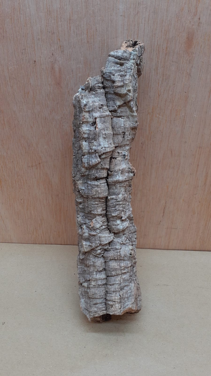 Small Cork Tube - Upto 40cm - 19