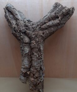 Medium Cork Tube - 60-80cm - 16
