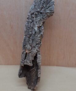 Small Cork Tube - 40-60cm - 12